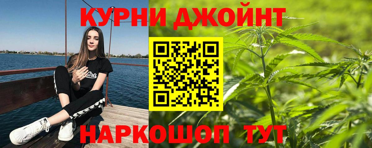 Каннабис конопля Курчалой
