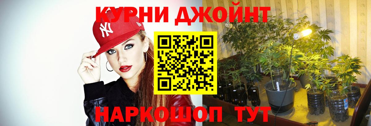 Курчалой  Конопля White Widow  Канабис план  Каннабис конопля  Вход с VPN 